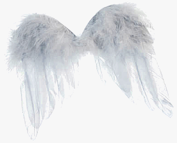 What is an Angel Investor?